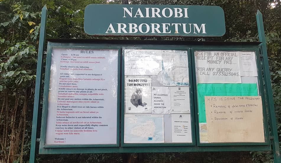 Nairobi Arboretum entrance fees, location, activities, and rules Tuko