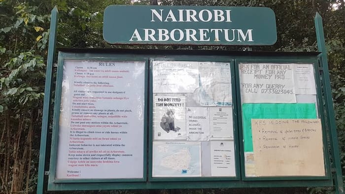 Nairobi Arboretum entrance fees, location, activities, and rules