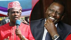 Nyamira MP Painfully Laments to William Ruto after Opponent Declines State Job: "It's Troubling"