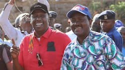 Gideon Moi's KANU Fronts Kalonzo Musyoka as Its Preferred Azimio la Umoja Running Mate