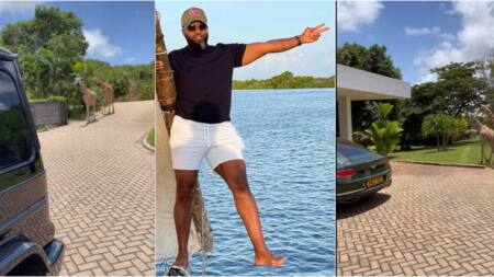 Hassan Joho Offers Glimpse of Lush Coast Home with Giraffes, Luxury Cars