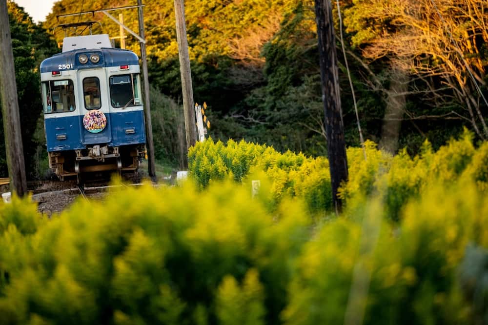 Industry titan East Japan Railway lost $490 million in 2021 keeping 66 of its most problematic rural railway segments afloat
