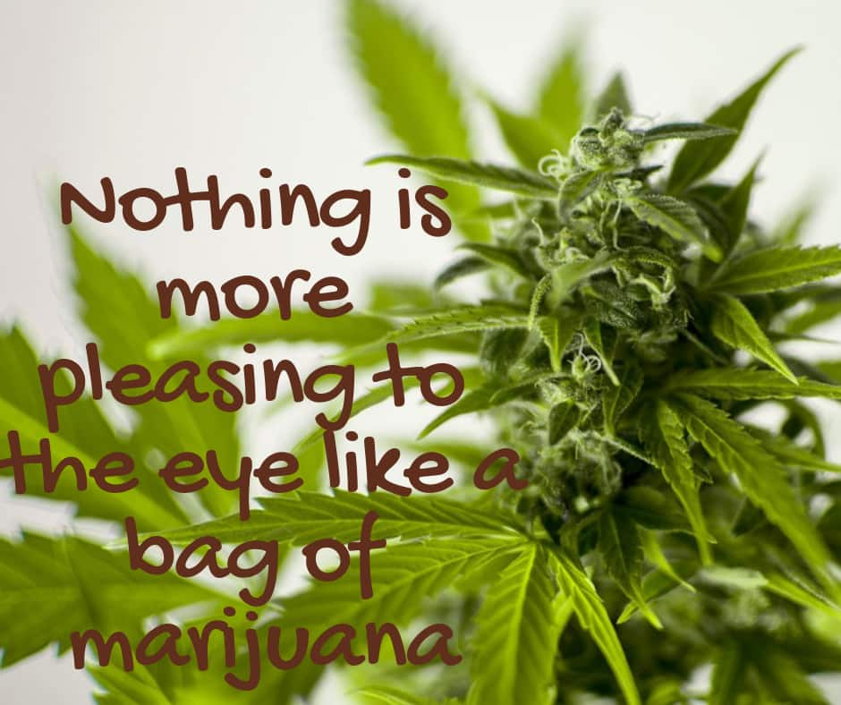 Quit Smoking Weed Quotes