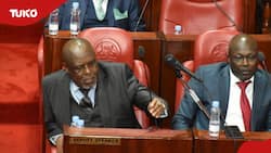 Nairobi MCAs Form Committee to Investigate Johnson Sakaja's Revenue Collection System