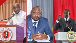 Kipchumba Murkomen, 4 Other CSs MPs Want Fired over Alleged Corruption, Incompetency