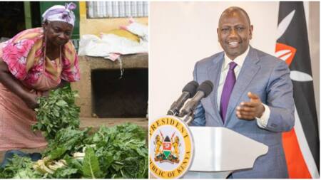 William Ruto: Mama Mboga to Access Credit at Single Digit Interest