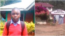 Woman Working in Gulf Vows to Support Daughter Achieve Doctor Dream after Scoring 408 Marks in KCPE