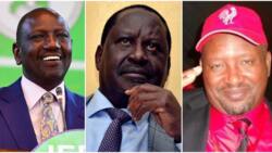 Nick Salat Claims Raila Odinga Asked His People to Work With William Ruto: "Where Is KANU's Future"