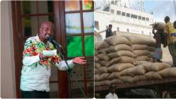 Blow to Kenyan Farmers as Ship with 10k Tonnes of Maize Docks in Mombasa