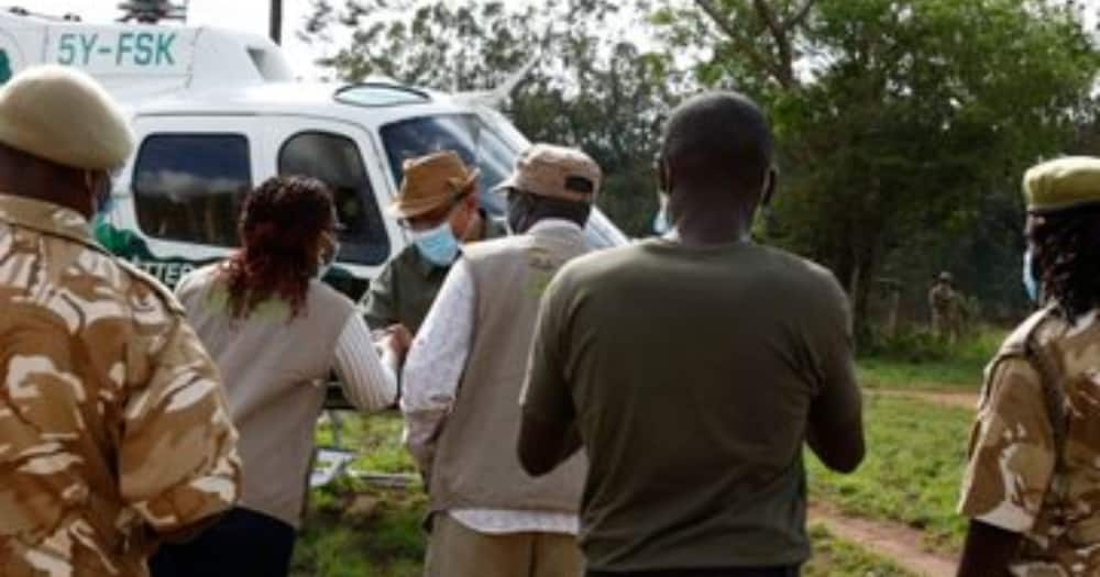 Count to Conserve: Gov't Launches First-Ever National Wildlife Census in Kenya