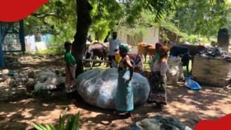 Trash for Cash: Meet Kilifi Women Turning Plastic Waste from Ocean, Community to Income for Survival