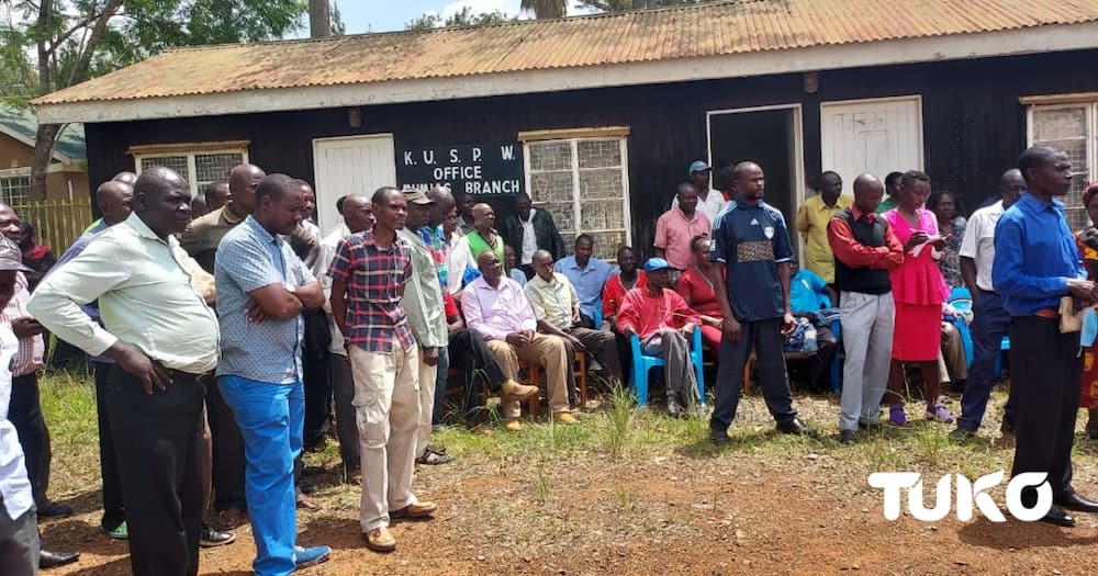Mumias sugar workers said they had been abandoned by their union leaders.