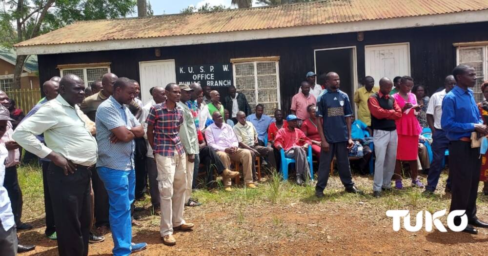 Mumias farmers at a past event.