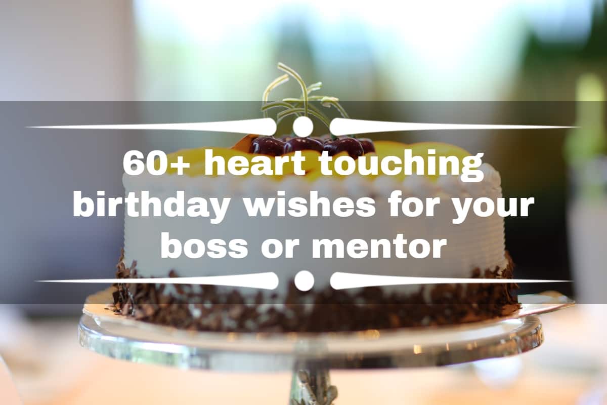 60+ heart touching birthday wishes for your boss or mentor - Tuko ...