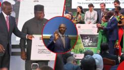 Africa Climate Summit: 5 Groundbreaking Achievements William Ruto-Led Function Recorded