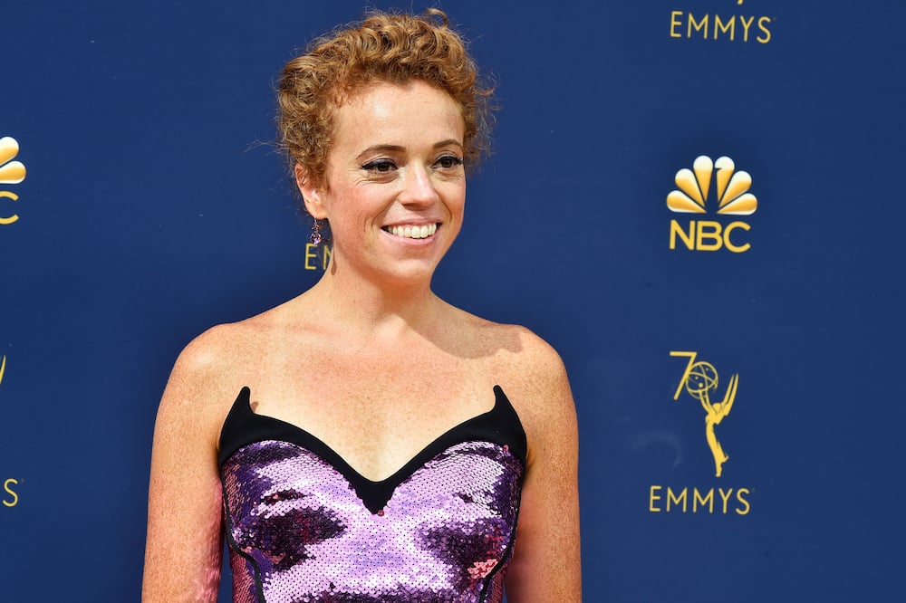 what happened to michelle wolf