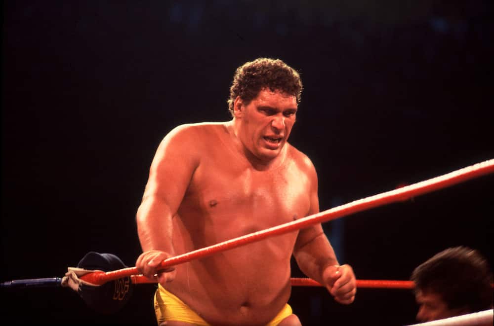 Andre the Giant fighting int he ring during Wrestlemania 2