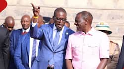 Johnson Sakaja Encourages William Ruto to Wear Pink Kaunda Suit: "Unakuaga Muungwana Sana"