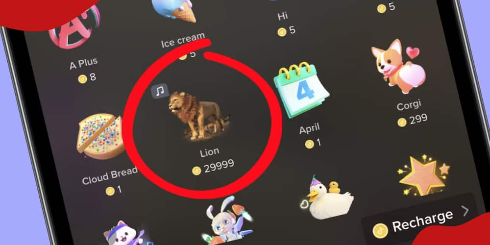 A screenshot of TikTok's coins sent by gifters, notably the lion which is worth over KSh 40,000.
