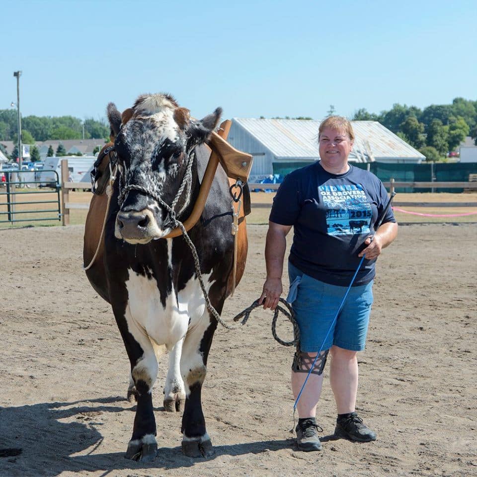 What happened to Dr. Brenda on Dr. Pol?