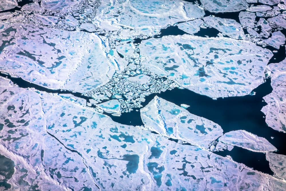 So-called pancake ice and melt seen on July 19, 2022 from a NASA plane on a mission with University of Texas scientists. Over the past two decades, the Arctic has lost about one-third of its winter sea ice volume, a study found