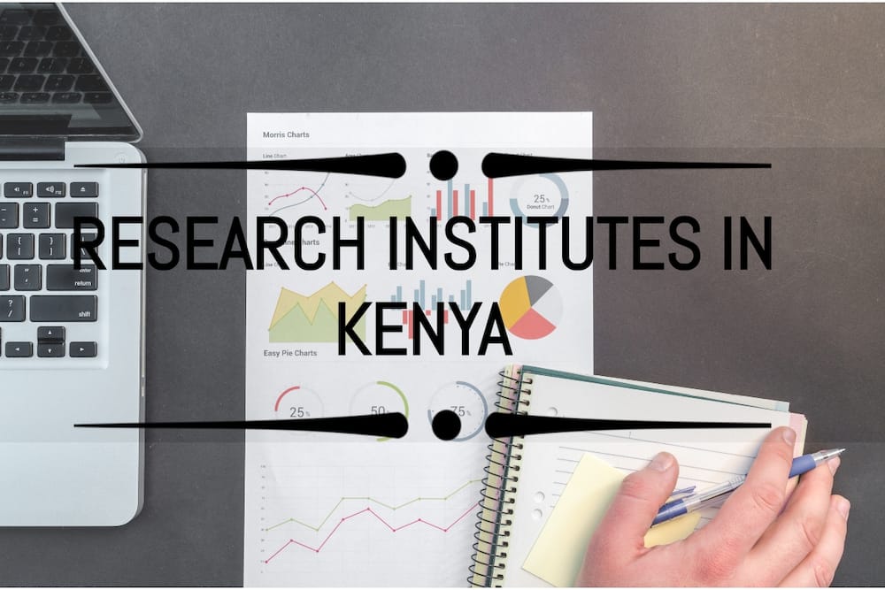 research institutes
