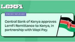 Central Bank of Kenya Approves LemFi Remittance to Kenya in Partnership with Wapi Pay
