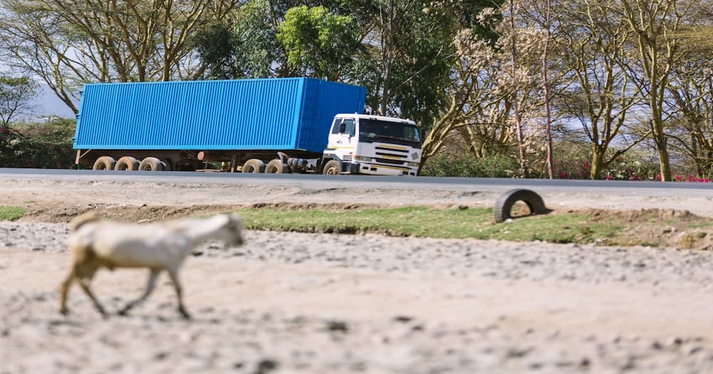 A truck parked along the road.