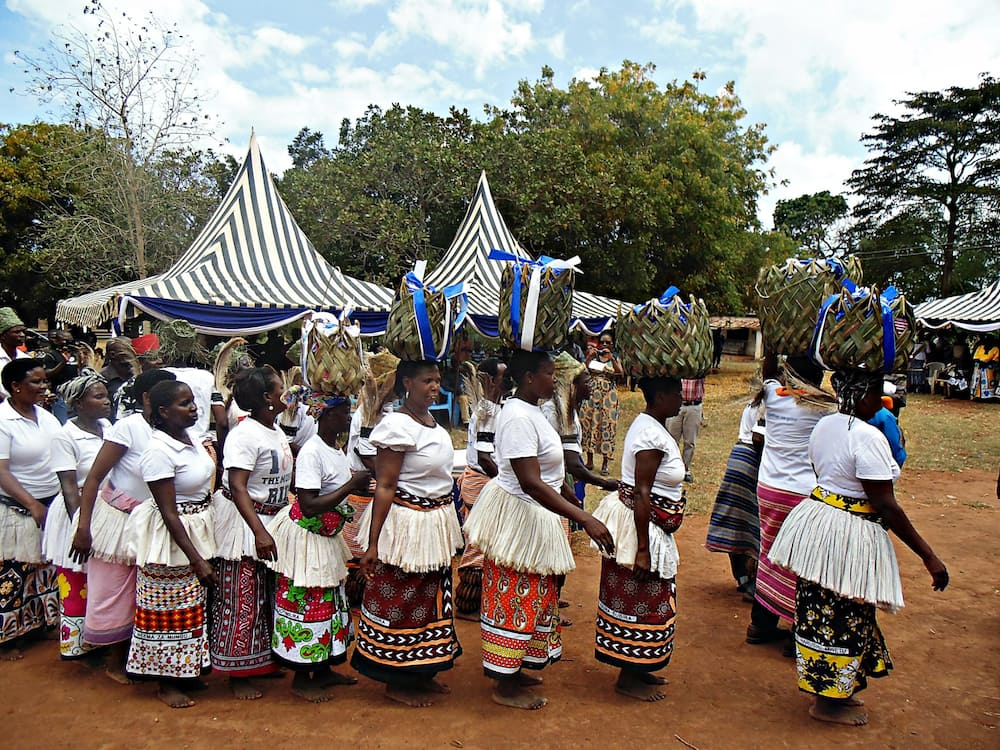 Mijikenda sub tribes