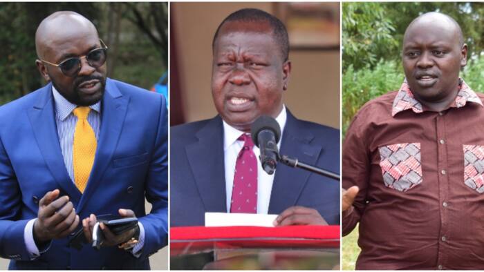 Cliff Ombeta Lectures Senator Cherargei over Calls to Have Matiang'i Repatriated : "Not Easy as ABC"