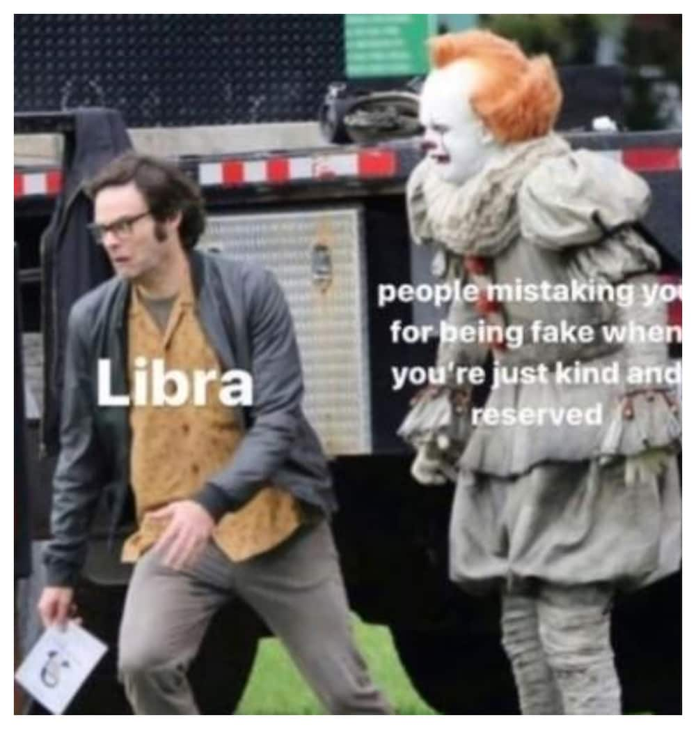 30 funniest libra memes that perfectly describe this zodiac sign - Tuko ...