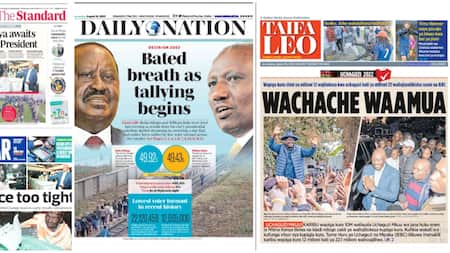 Kenyan Newspaper Review: Raila Struggling to Garner Mt Kenya Votes as Ruto Leads in Region