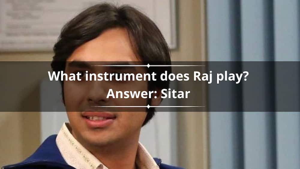 Raj from The Big Bang Theory