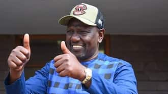 William Ruto Celebrates Women Leaders Elected in August Polls: "Hustlers Are Counting on You"