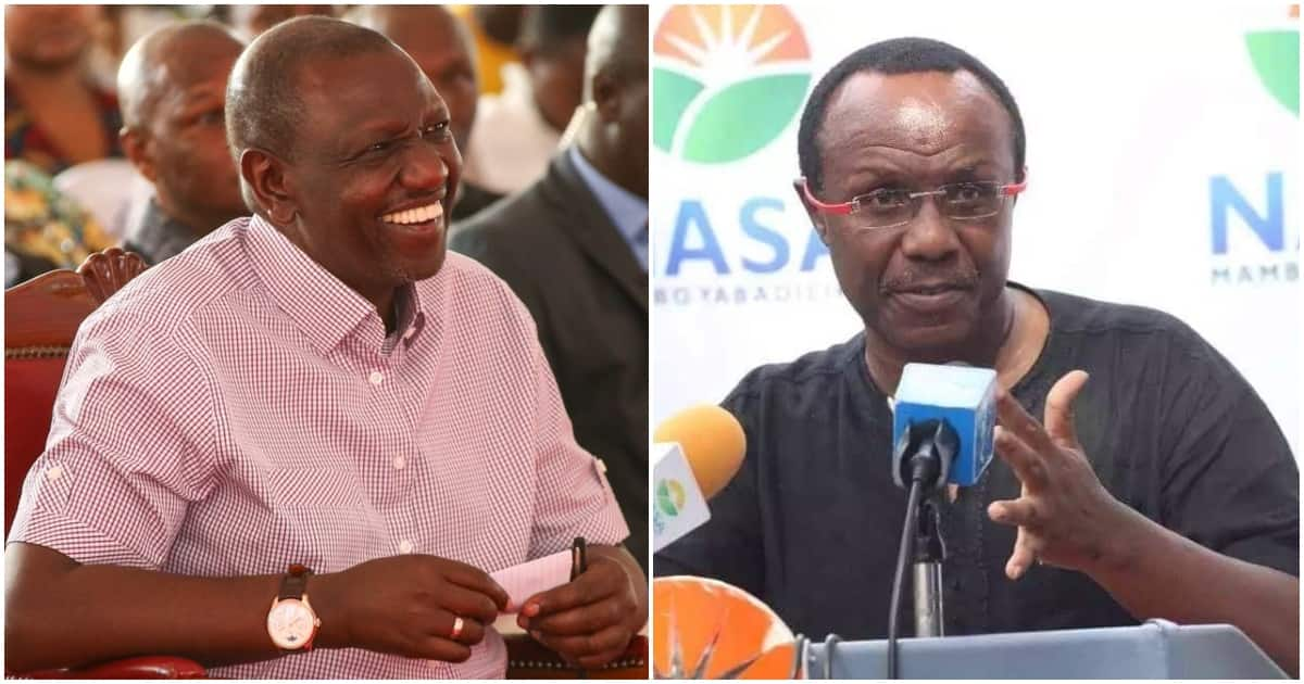 David Ndii Discloses William Ruto's Gov't Borrows KSh 25b Every ...