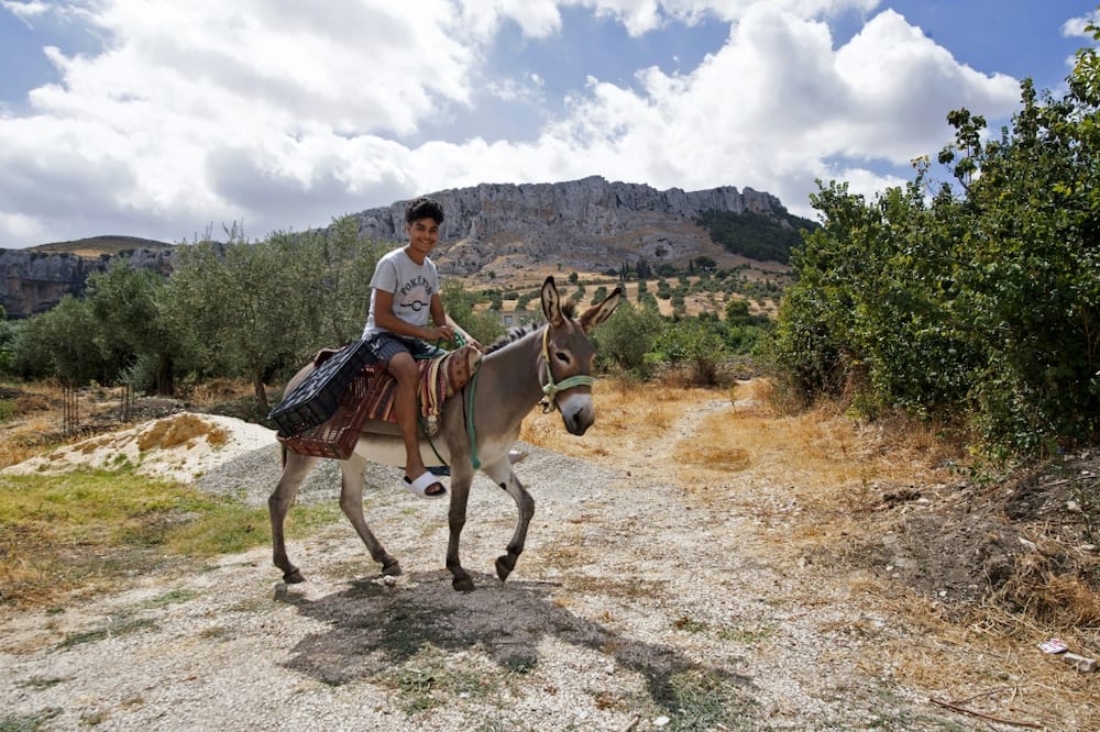 A youth rides a donkey in the Tunisian town of Djebba
