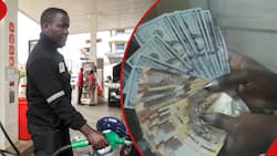 Kenya Shilling Falling Again? Expert Shares Implications of Trend on Cost of Fuel, Economy
