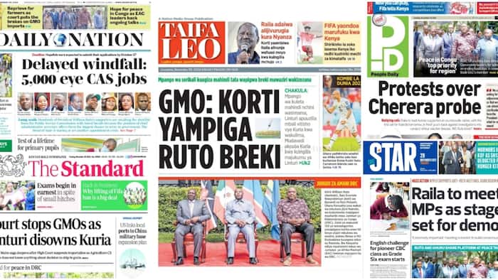 Kenyan Newspapers Review for Nov 29: Dennis Itumbi Vows to Prove Plot to Kill William Ruto