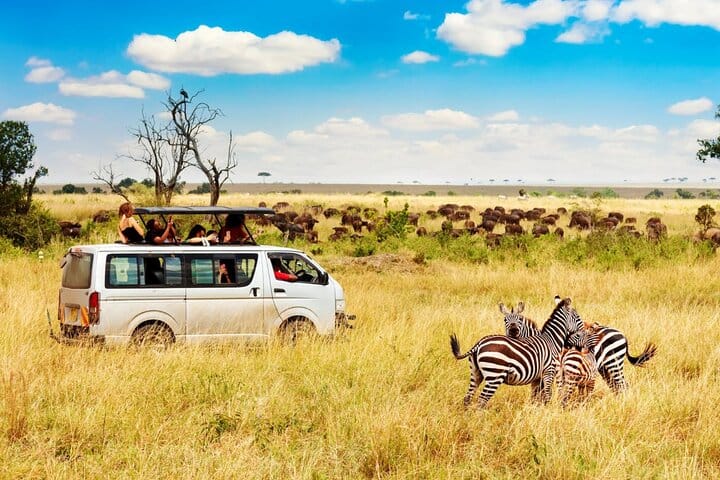 JungleRoam Safaris vehicle
