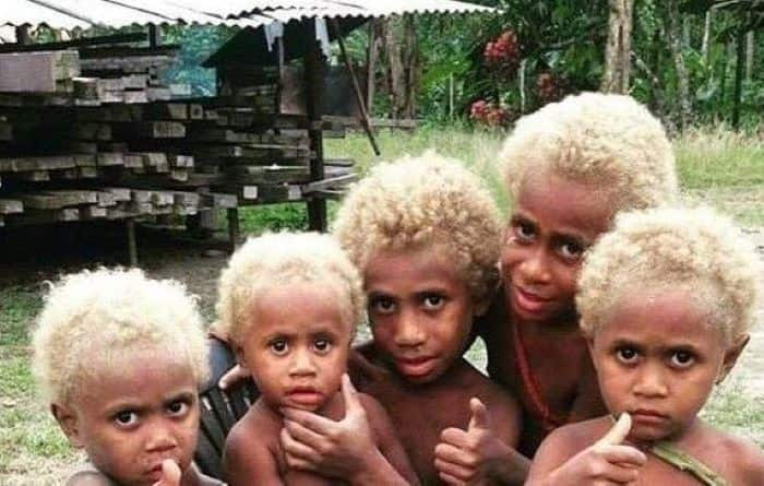 Scientists Shocking Discovery About Black Skin Melanesian Blonde Hair Blue  Eyes 