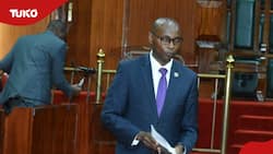 Nairobi MCAs Turn Away Sakaja's Finance Chief During Probe Into Revenue Collection: "Bring Records"