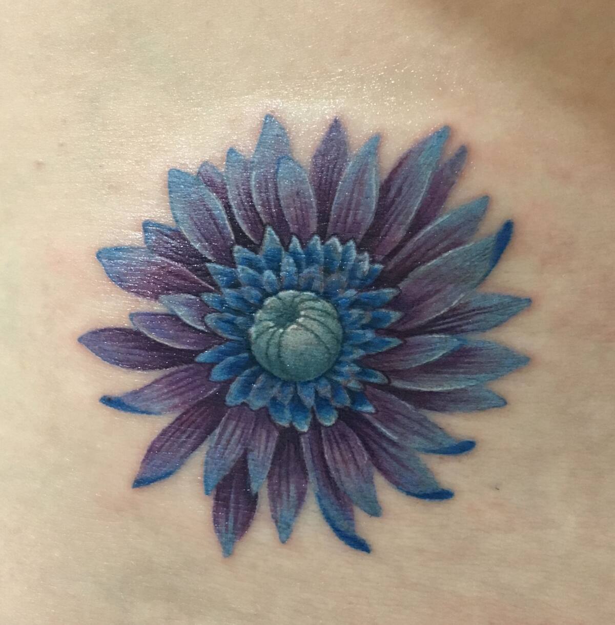 Remember Me Tattoos  Blue Daisy by Tosha flowers flower flowertattoo  girlytattoo austin austintx atx austintexas centraltexas  girltattooer manortexas manortx elgintexas taylortexas pflugerville  blue daisy  Facebook