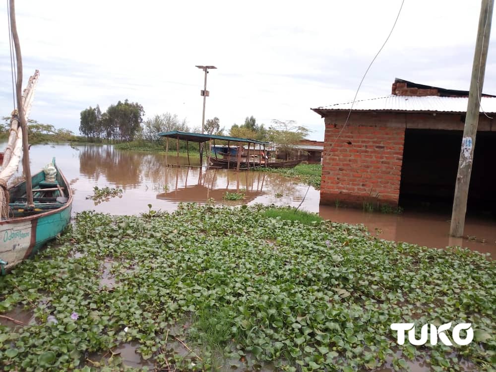 Homabay: 126 households displaced by floods