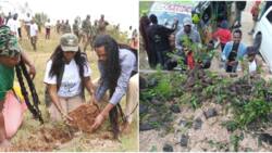 Dedan Kimathi’s Daughter Launches Campaign to Plant 30m Trees in Remembrance of Late Father