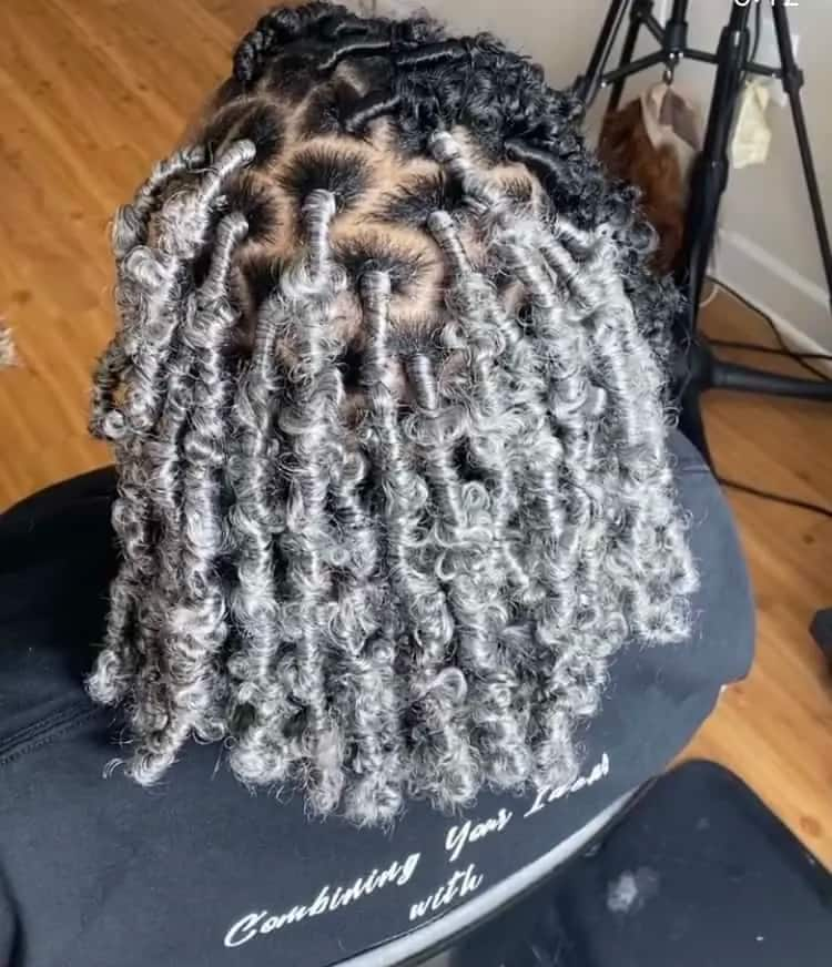 butterfly locs