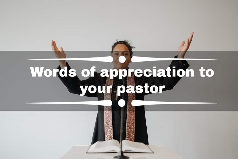 the word appreciation