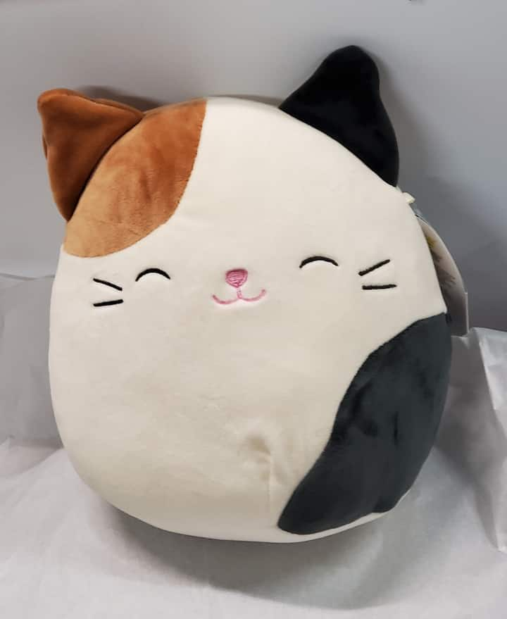 20 cutest squishmallows that you will definitely love (pictures) - Tuko ...