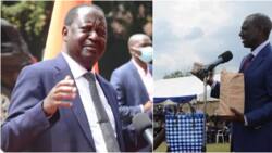 Raila Odinga Tells Youth not to Refuse William Ruto's Handouts: "Akitoa Pesa Chukueni"