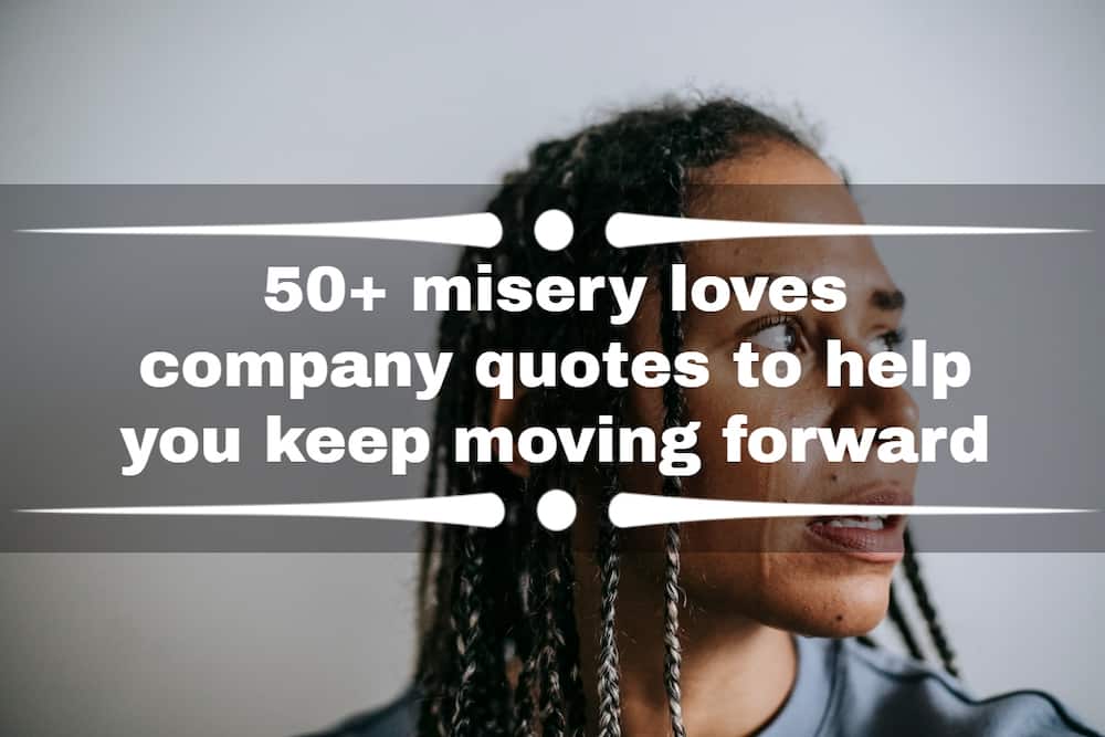 misery loves company quotes