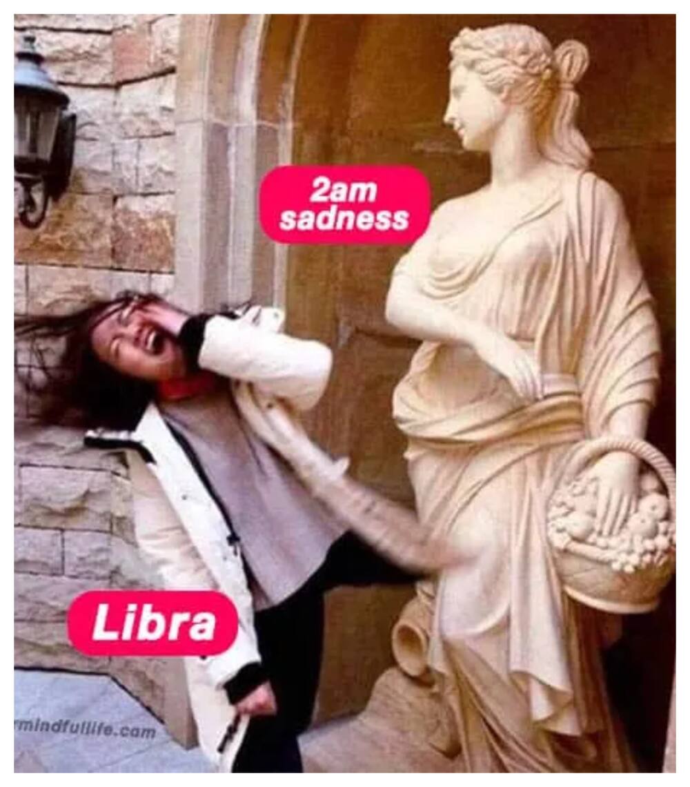 libra memes